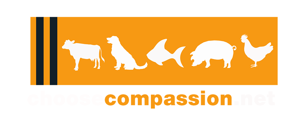 Choose Compassion