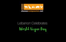 Choose compassion - Lebanon Is Finally Opening Up To Veganism!