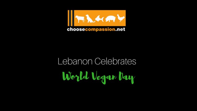 Choose compassion - Lebanon Is Finally Opening Up To Veganism!