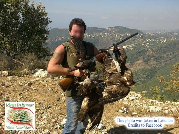 2.6 million birds illegally killed in Lebanon every year.