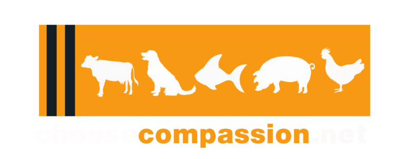 choose compassion logo
