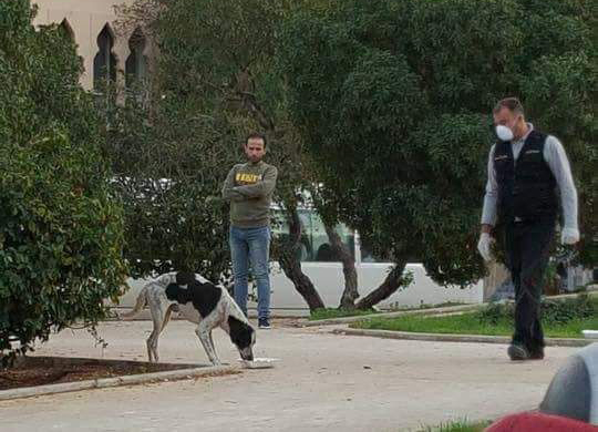 El Ghbaire municipality poisoned stray dogs - choose compassion