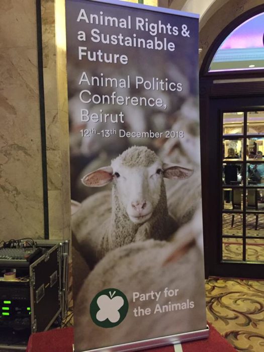 Animal Politics Foundation - party for the animals