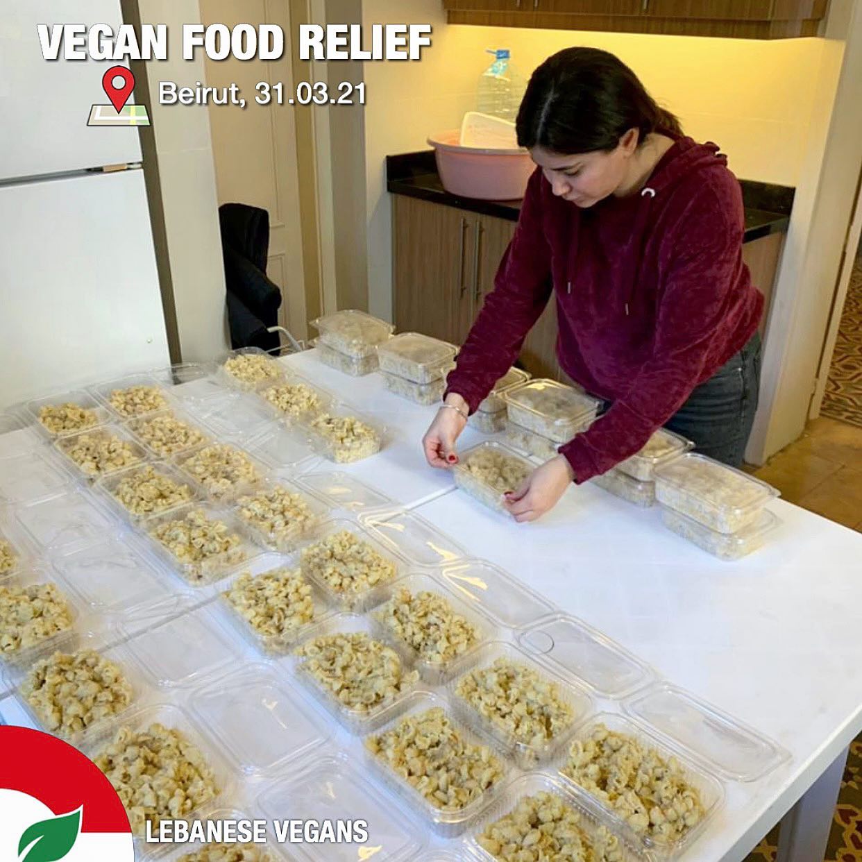 vegan-food-relief-program-lebanese-vegans