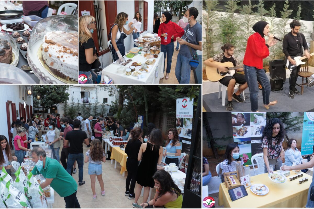 events hosted by lebanese veggans