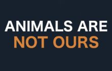 Human Supremacy animal rights veganism animal liberation