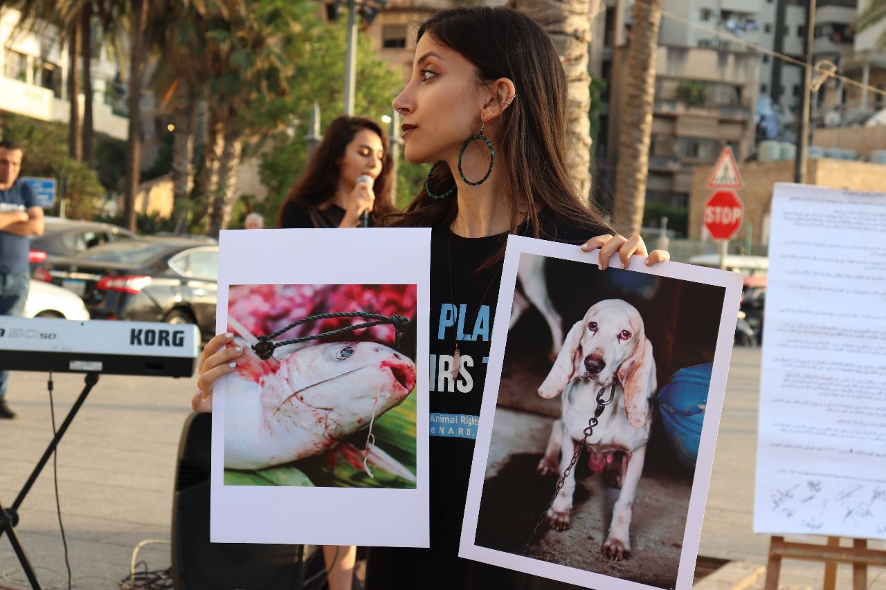 National Animal Rights Day Lebanon