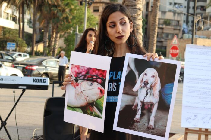 National Animal Rights Day Lebanon
