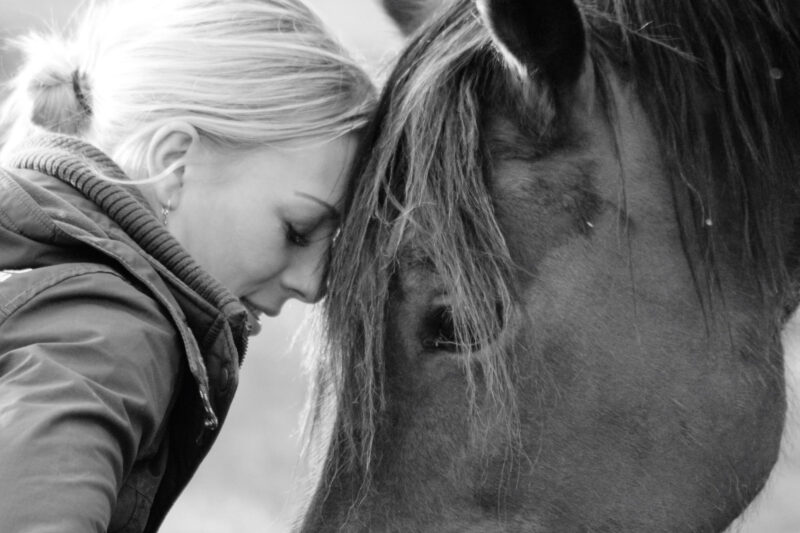 علاقة الإنسان بالخيل: الانسجام الحقيقي أم الوجه الخفي للاستعباد؟
